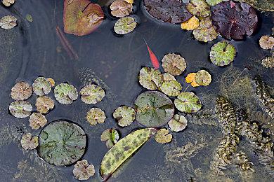 RPG《星之海》宣布将推出实体版游戏 2024年上市